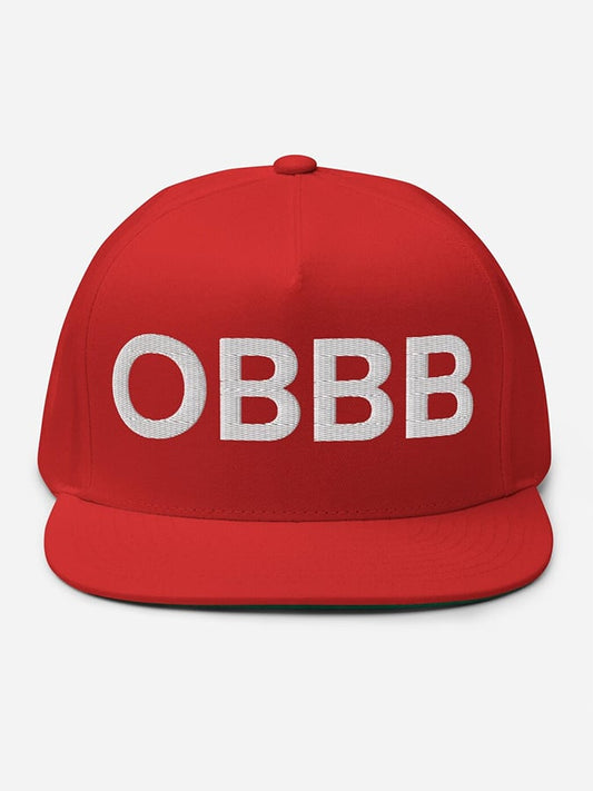 Unisex “One Big Beautiful Bill” Print Hat